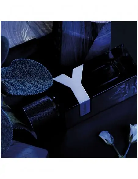 Y Men EDP YVES SAINT LAURENT Perfumes