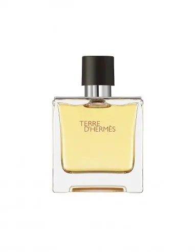 Terre d'Hermès Eau de Parfum per a Home-Perfums masculins