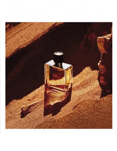 Terre d'Hermès EDP HERMÈS Perfumes