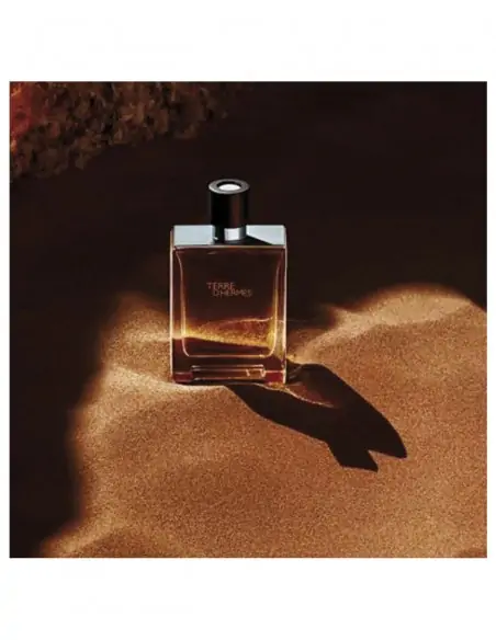 Terre D'Hermès Eau De Toilette Para Hombre