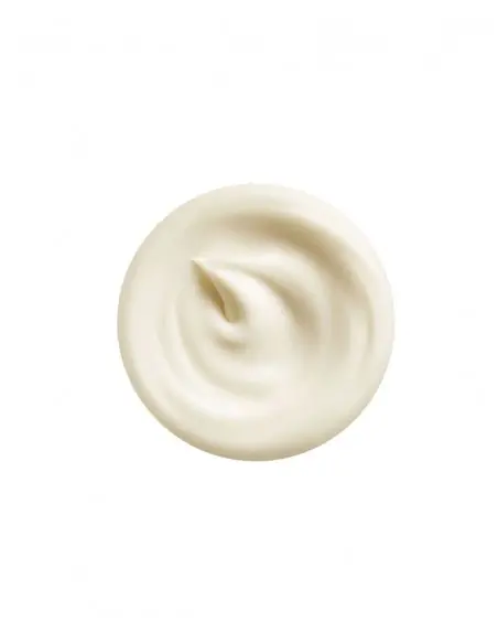 Vital Perfection Intensive Wrinklespot Treatment SHISEIDO