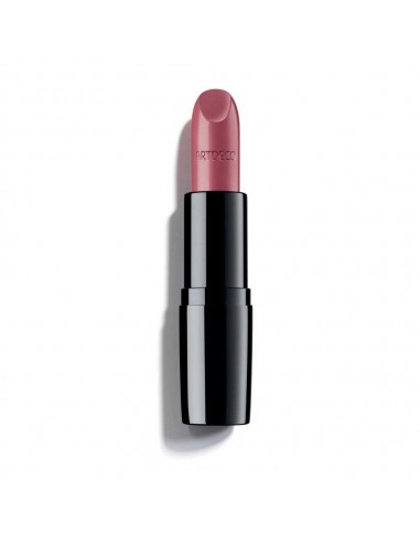 LABIAL PERFECT COLOR LIPSTICK ARTDECO Labios