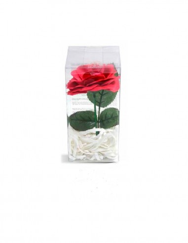 POKHARA Rosa de Jabón en caja | Perfumeriasgotta.com