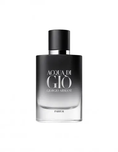 Acqua Di Gio Parfume Fragancia Masculina-Perfumes de hombre