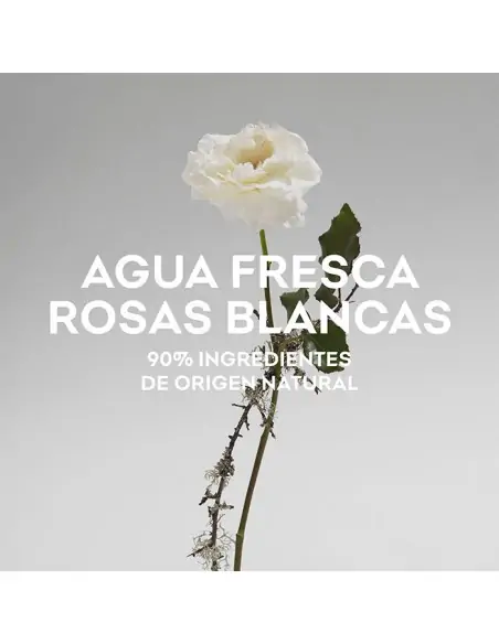 Agua Fresca De Rosas Blancas EDT ADOLFO DOMÍNGUEZ Mujer