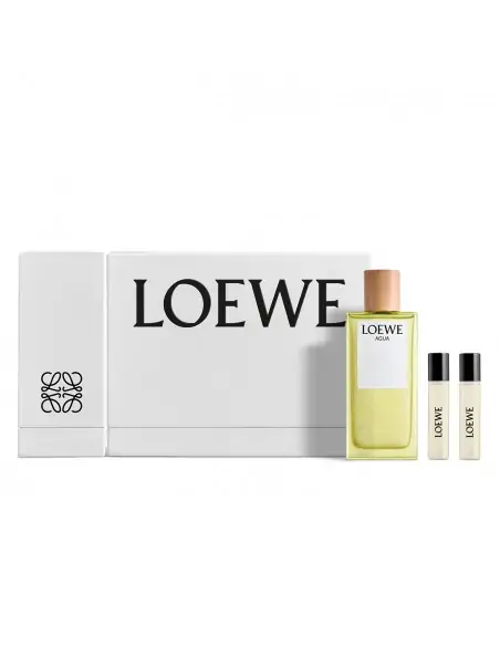 COFRE LOEWE AGUA 100 ML