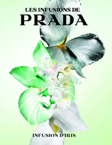 Prada Infusion D´Iris Eau PRADA Mujer