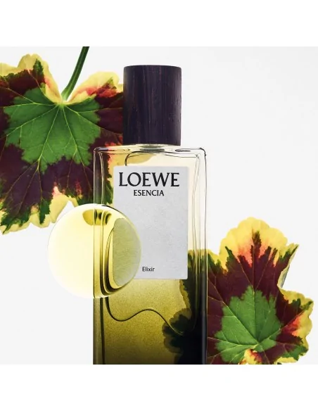 Esencia Elixir Eau de Parfum Para Hombre LOEWE Hombre