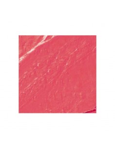 J.Cat Scene Stealer Lipstick Mystic Pink Ultra Cremoso | Gotta 2
