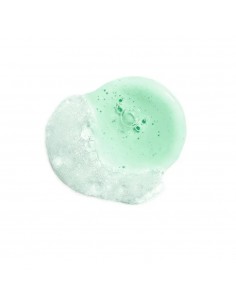 Clinique Liquid Facial Soap Extra-Mild | Perfumerías Gotta 2