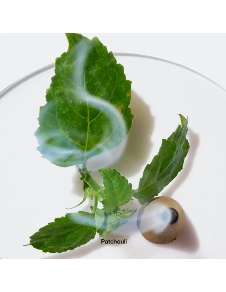 Clinique Aromatics Elixir Eau de Parfum para Mujer | Perfumerías Gotta